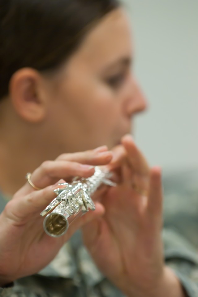 Army Field Band offers musical mentorship to Reserve bandsmen