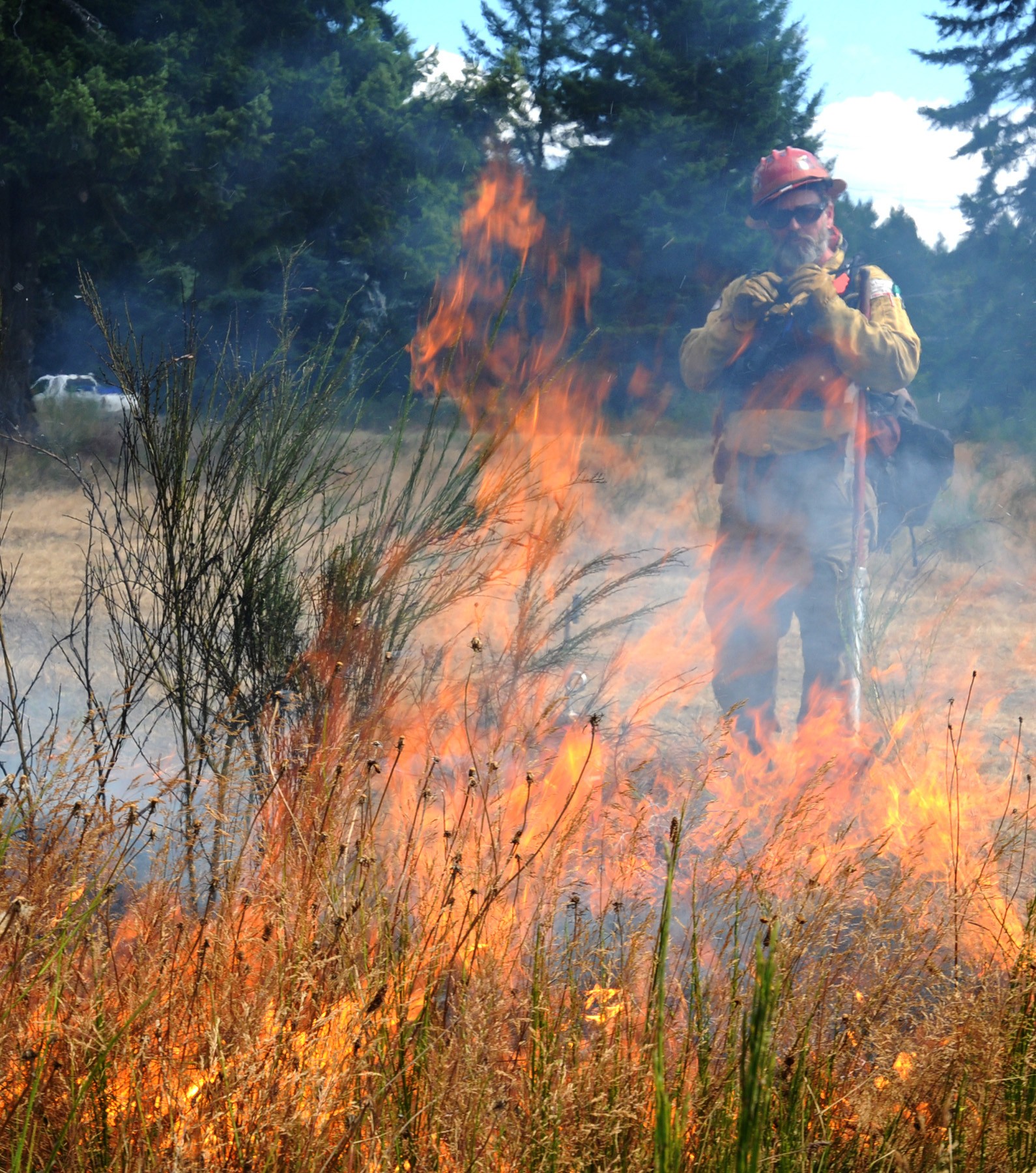 fires-are-good-for-environment-article-the-united-states-army