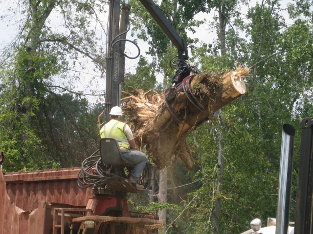 Tree debris removal in July 2011 after Alabama tornados in April