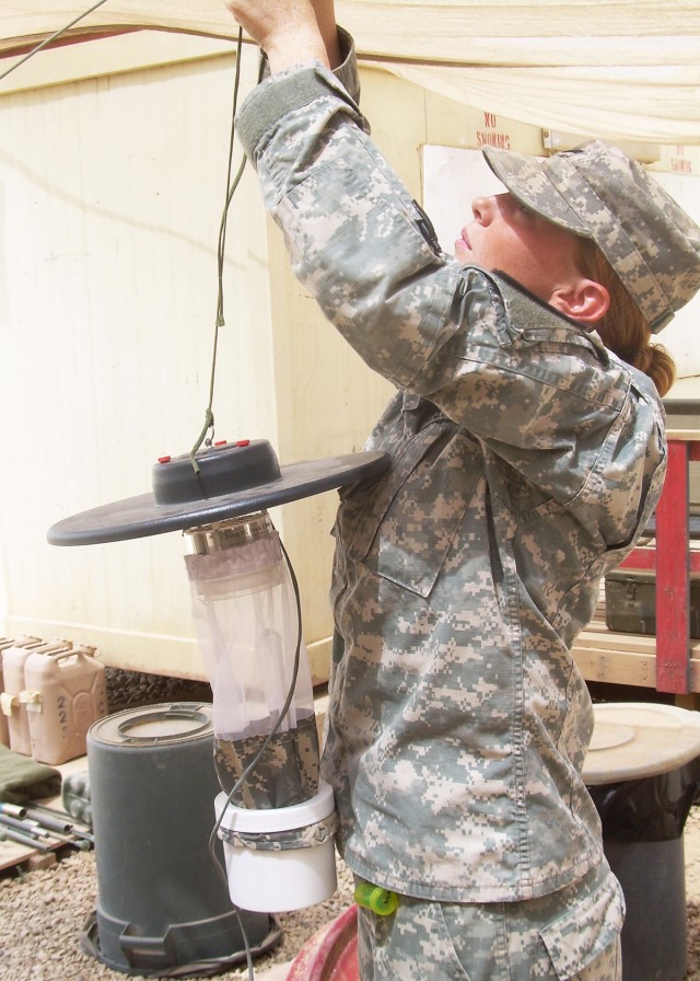 Soldier hangs an insect trap
