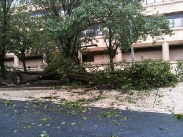 Hurricane Irene tree damage outside Harry Diamond Building