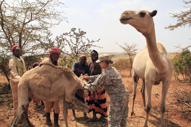 Helping an Ethiopian community survive severe drought