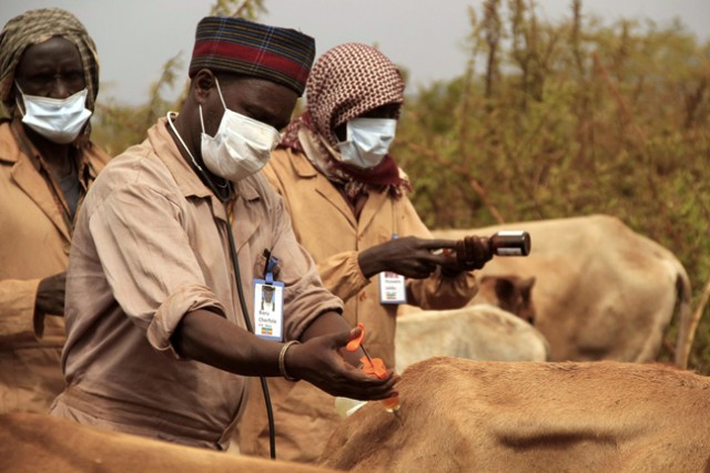 Helping an Ethiopian community survive severe drought