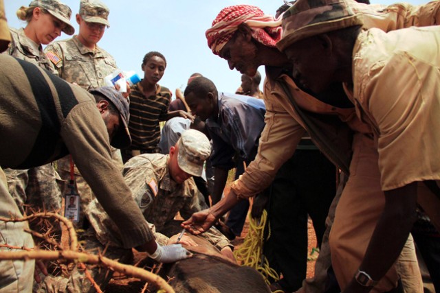 Helping an Ethiopian community survive severe drought