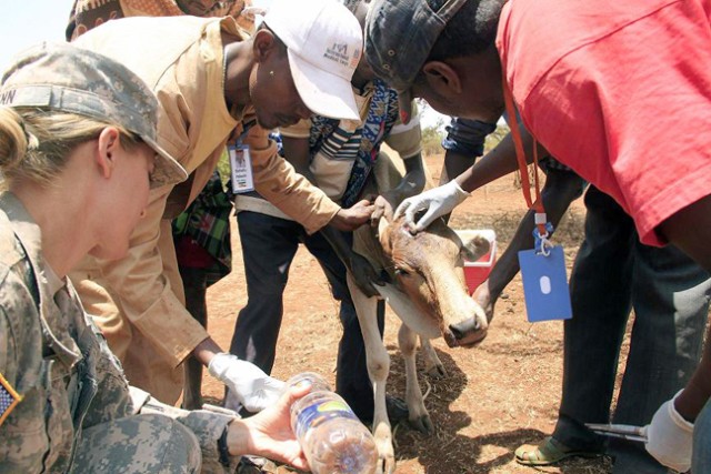 Helping an Ethiopian community survive severe drought | Article | The ...