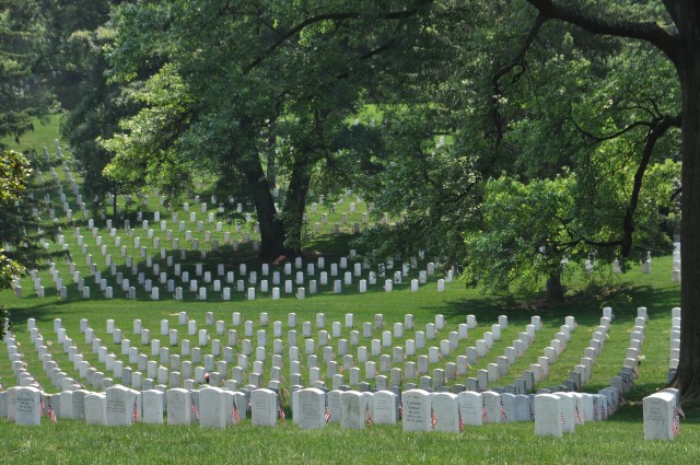 Flags in at Arlington National Cemetery