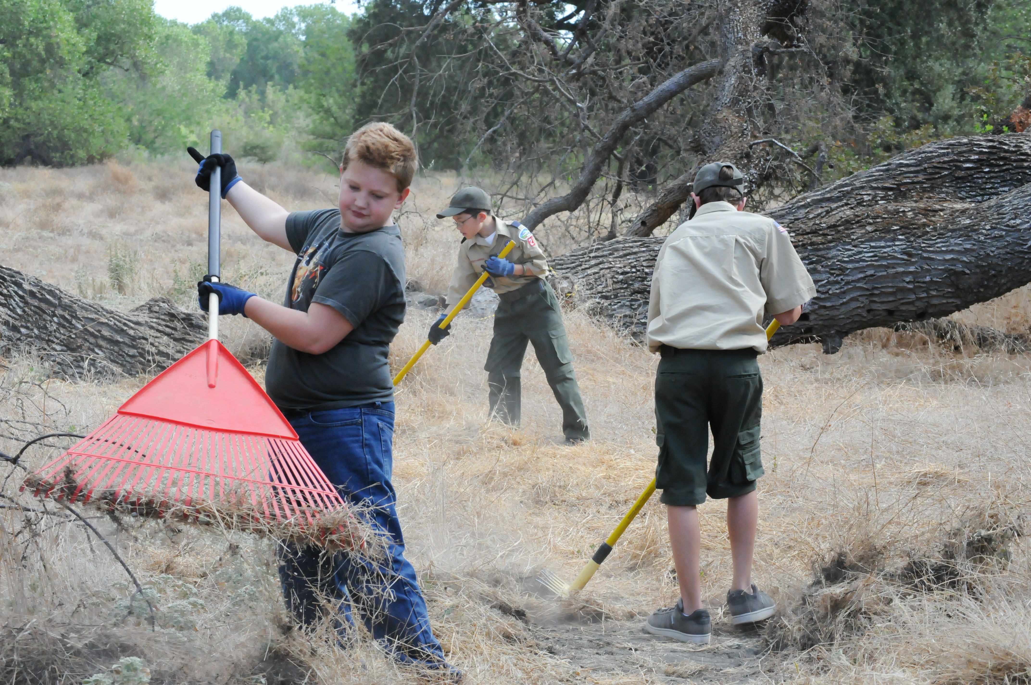Sacramento District parks celebrate National Public Lands Day Article
