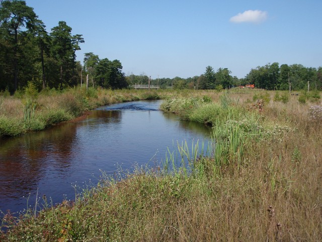 Vineland Floodplain Remediation and Wetland Restoration