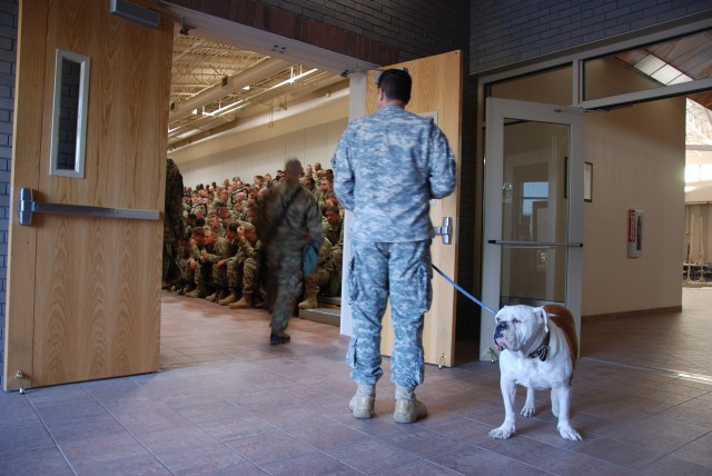'Bulldogs' poised to bite out terrorism from Afghanistan