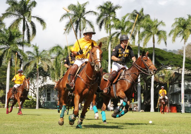 Polo on Palm Circle