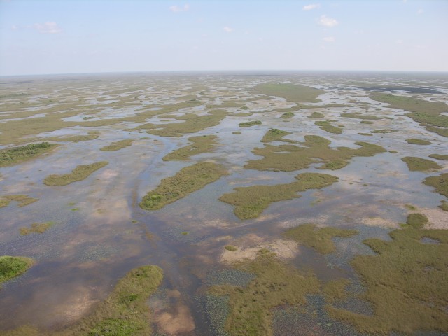 Everglades in Southern Florida