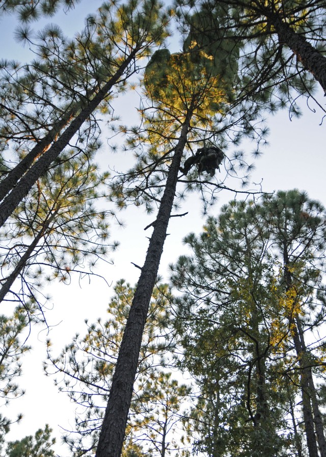 Jumping 'into the thick of it:' Engineers conduct rough-terrain airborne operations