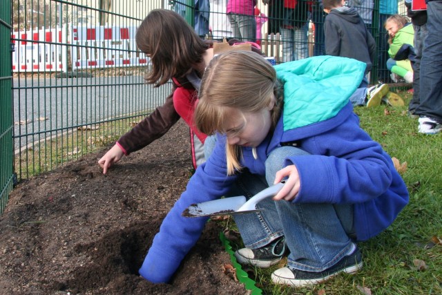Planting a promise