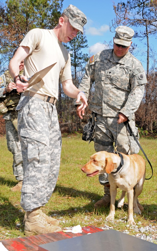 Man's best friend finds new mission