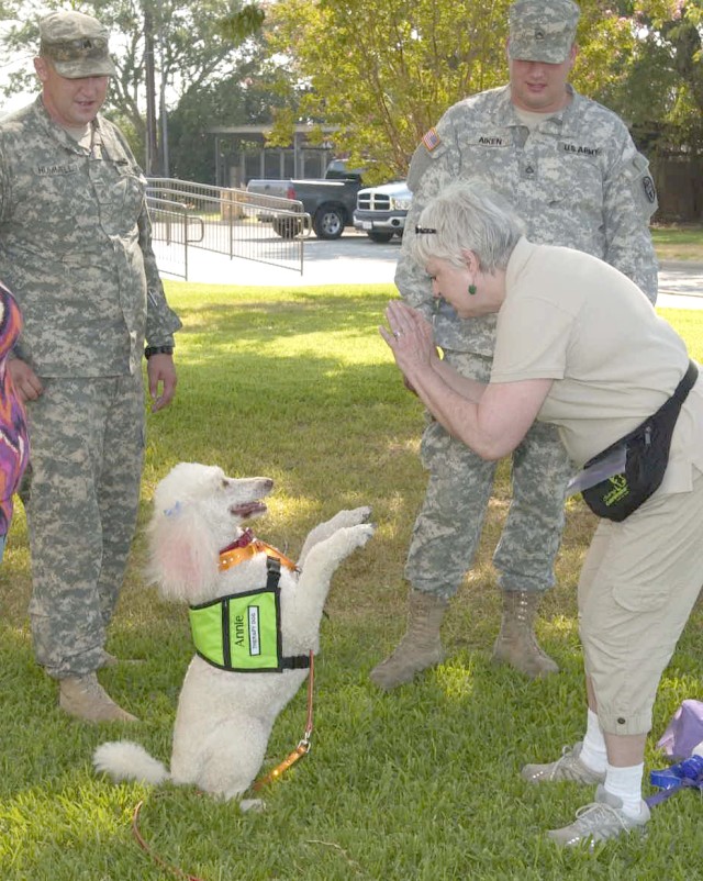 Four-legged Therapy