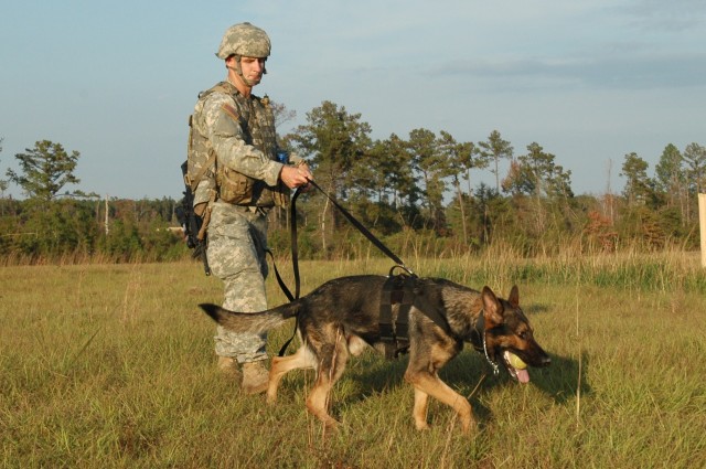 Camp Shelby has gone to the dogs