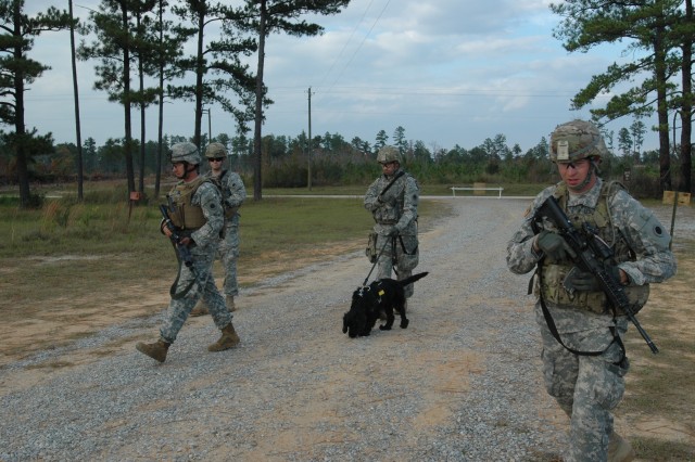 Camp Shelby has gone to the dogs