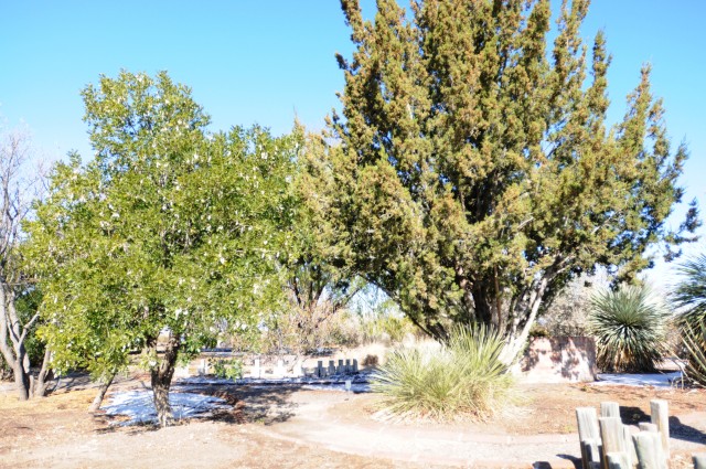 Master Gardeners demonstrate garden technique, water conservation in El Paso County