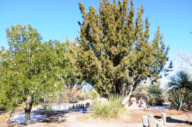 Master Gardeners demonstrate garden technique, water conservation in El Paso County