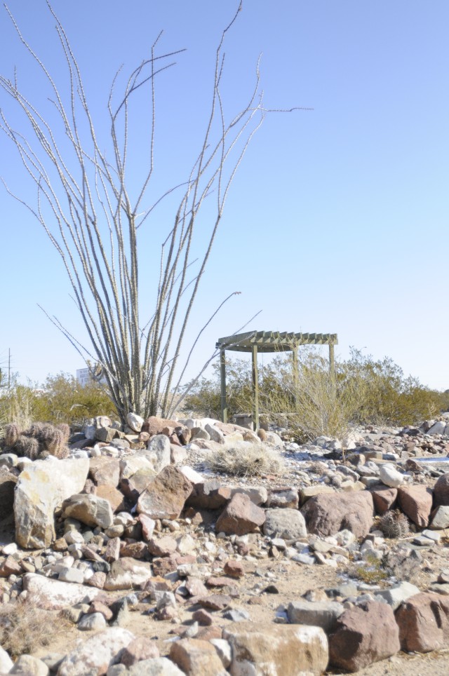Master Gardeners demonstrate garden technique, water conservation in El Paso County