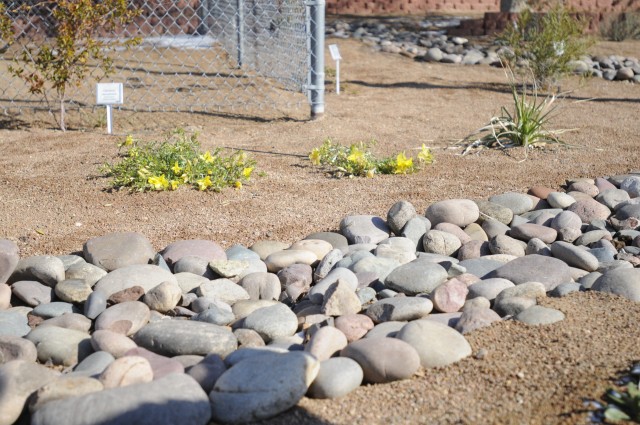 Master Gardeners demonstrate garden technique, water conservation in El Paso County