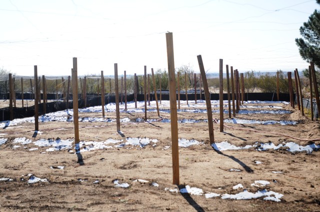 Master Gardeners demonstrate garden technique, water conservation in El Paso County