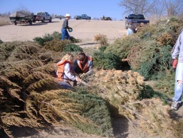 USACE St. Louis District: Christmas Tree Recycling