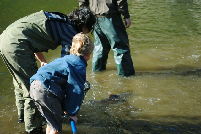 Racing to Save Coho