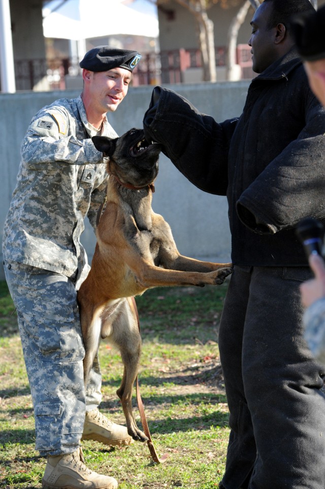 WCAP Soldier with MP dog