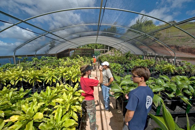 Oahu Army Natural Resources Team