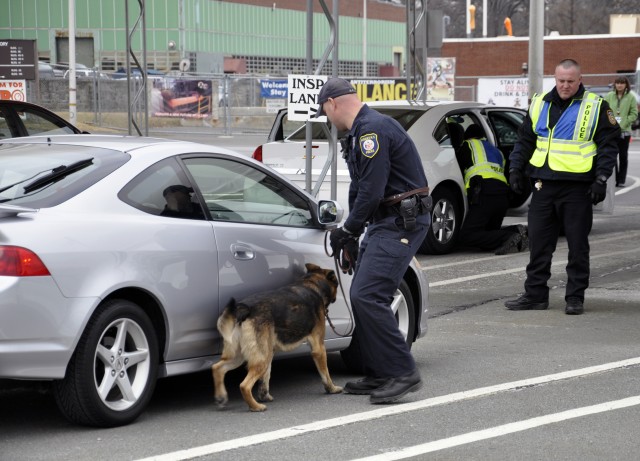 Arsenal turns to dogs to sniff out threats