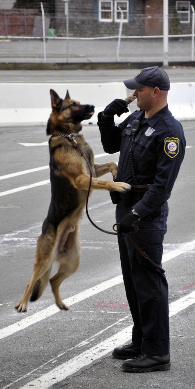 Arsenal turns to dogs to sniff out threats