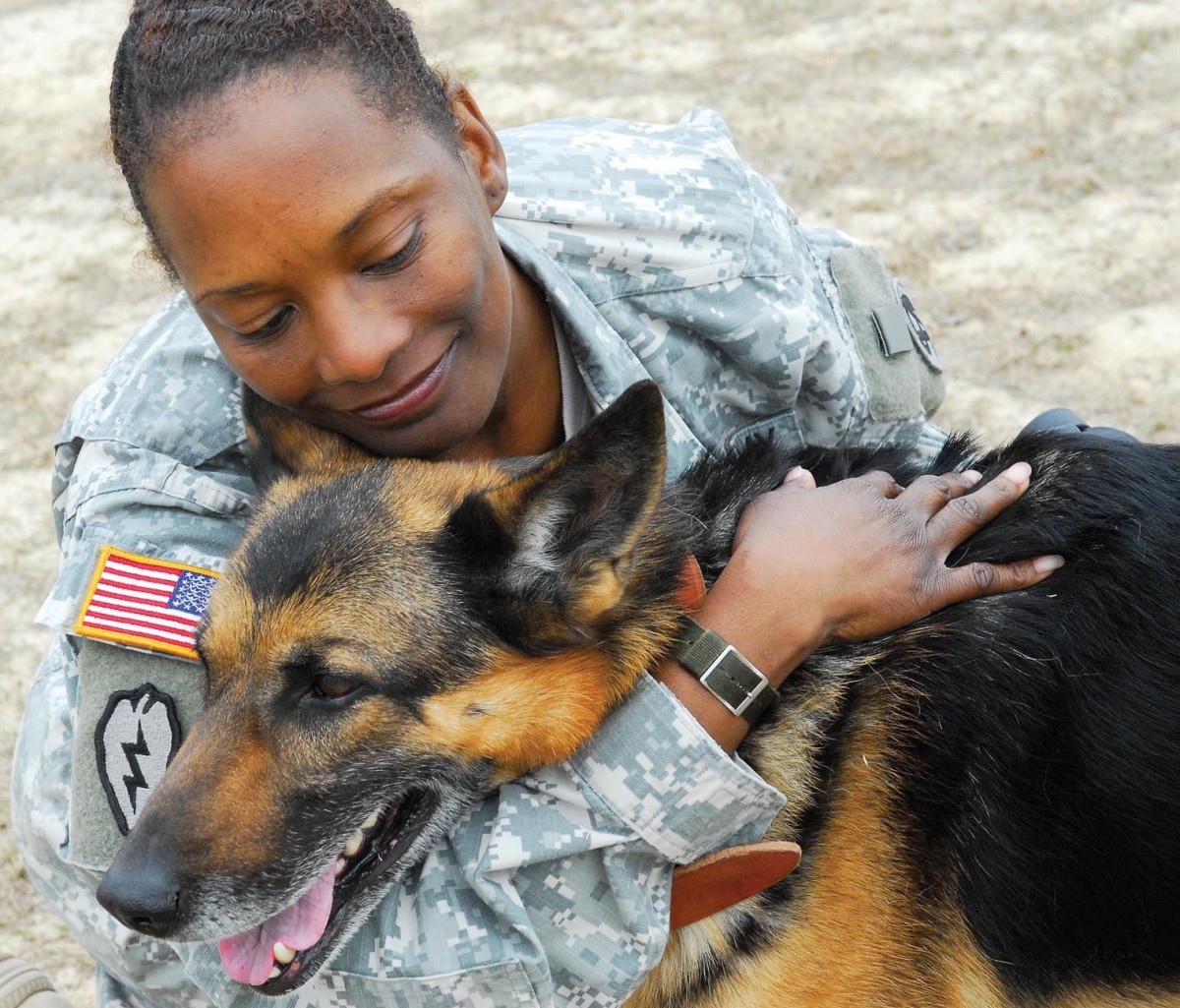 Soldier hopes to adopt military dog | Article | The United States Army