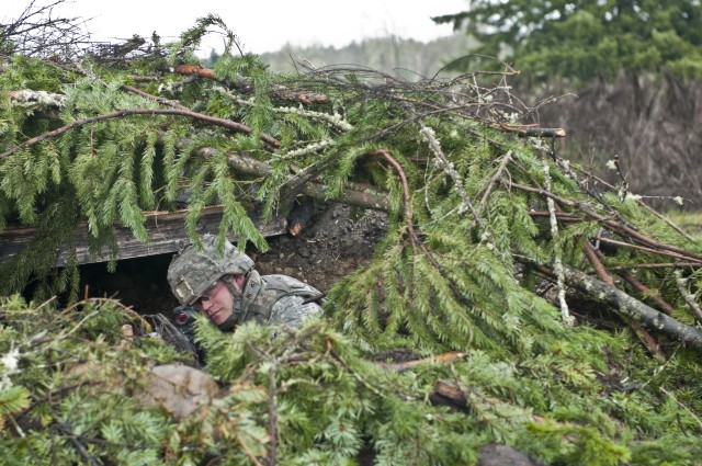 Behind concealment