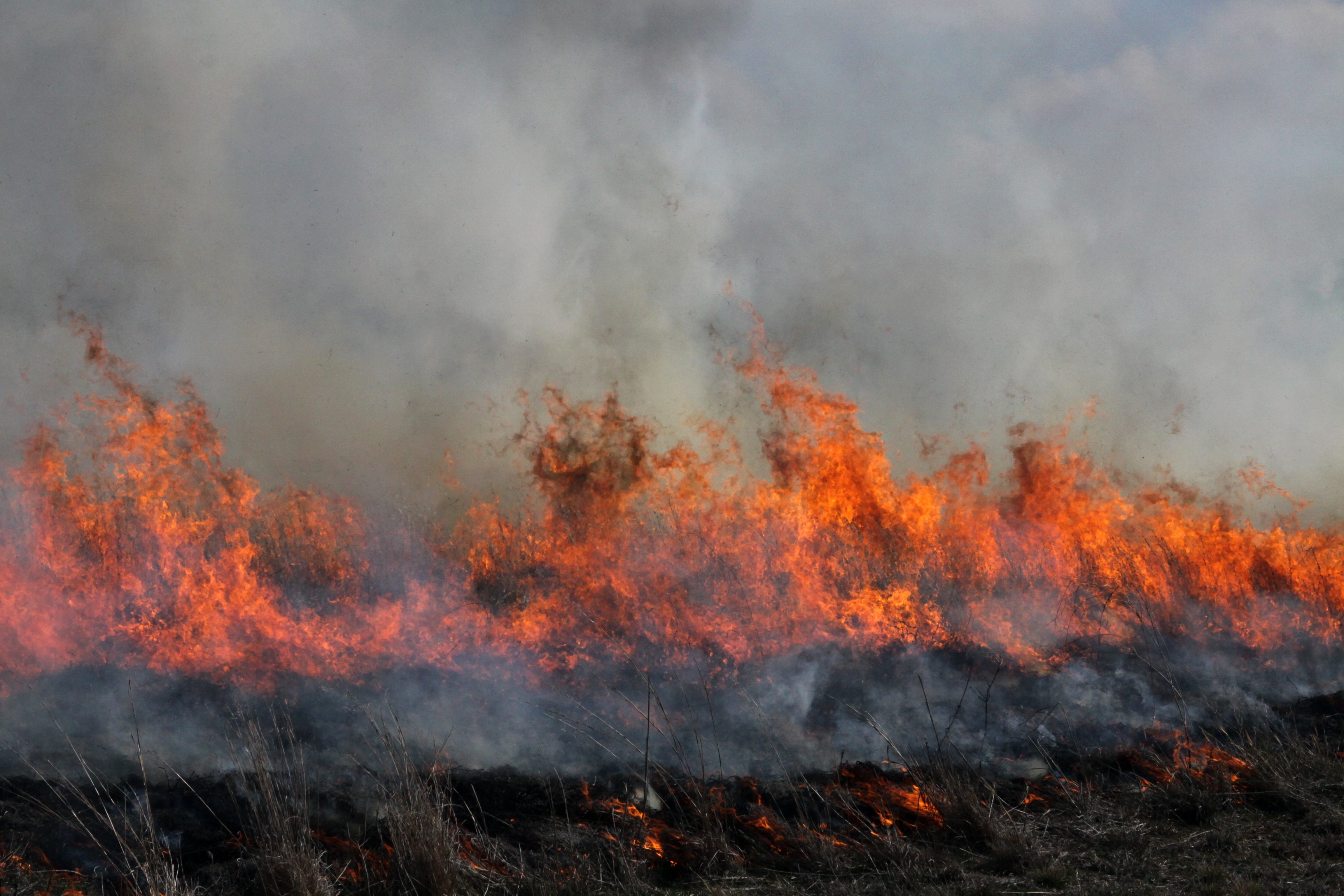 Firefighters train for survival | Article | The United States Army