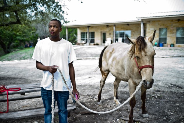 Horse and guide