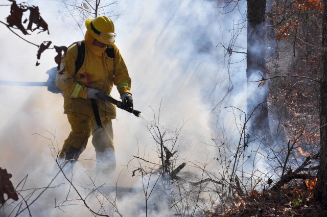 Brush fire