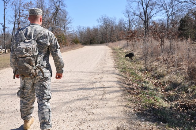 Military working dog teams keep high traffic routes safe