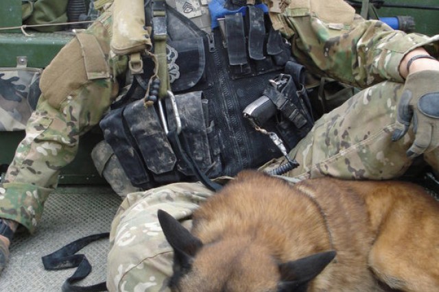 mwd military