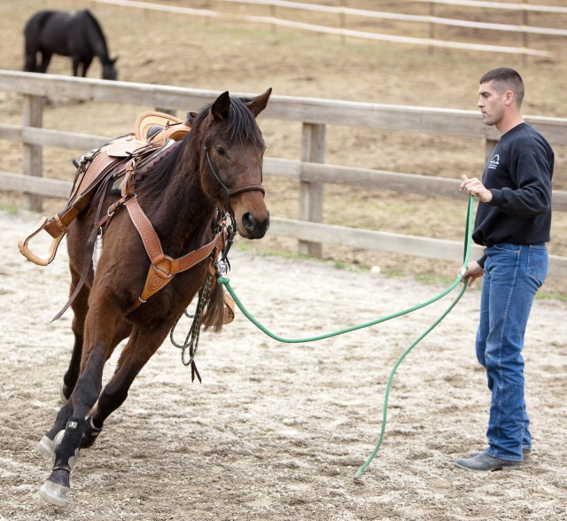 Learning to ride