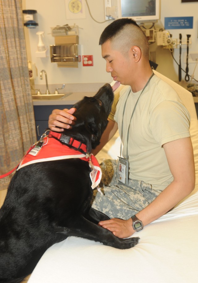 Dog-gone good medicine: Four-legged volunteers lend a helping paw
