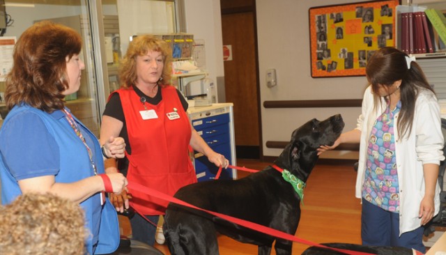 Dog-gone good medicine: Four-legged volunteers lend a helping paw
