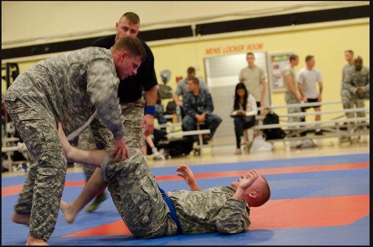 Iowa Aap Employee Fights In Army-approved Mixed-martial Arts Program 