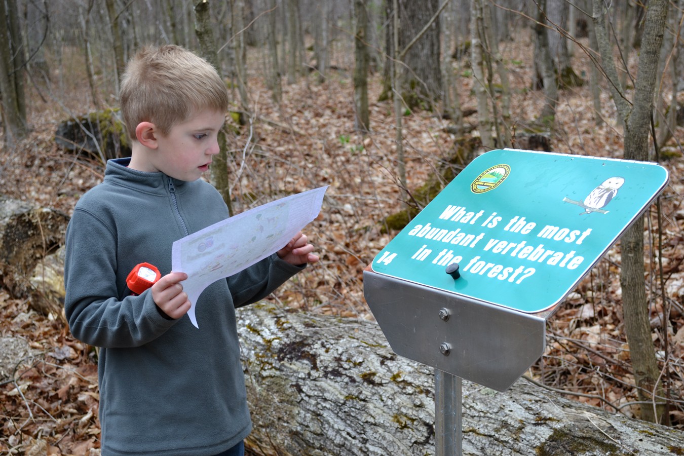 Fort Drum community members celebrate annual Maple Days Article The