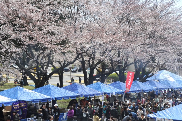 28,000 visit Camp Zama for annual Cherry Blossom Festival