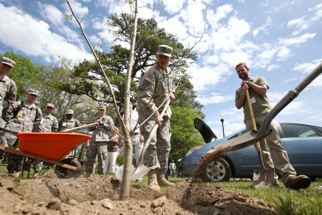 Col. Edward C. Rothstein helps to plant a sycamore tree