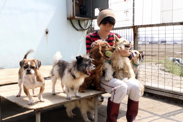 Owners, officials encourage responsible pet ownership