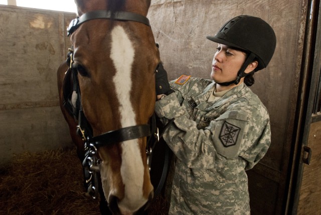 Army Reserve Soldier takes on the best during World Cavalry Championships