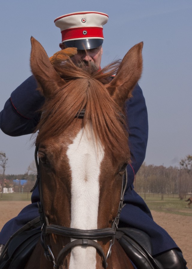 Army Reserve Soldier takes on the best during World Cavalry Championships