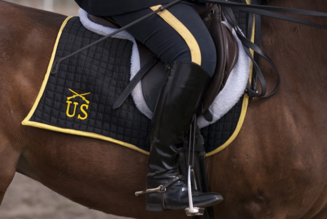 Army Reserve Soldier takes on the best during World Cavalry Championships